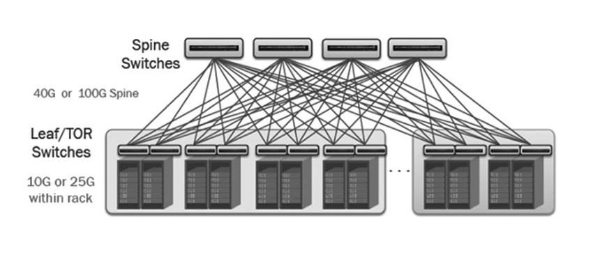 25g 100g network