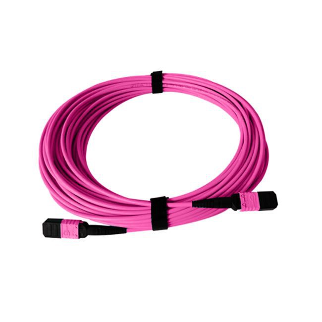 패치 코드 MTP 12 섬유 OM4 MMF TypeB LSZH 3ft