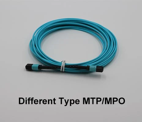 다른 유형 MTP / MPO