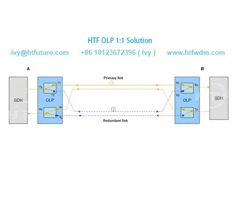 광 회선 보호 1 : 1이란 무엇입니까?