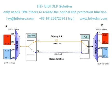 BIDI OLP에 대해 알아야 할 4 가지 질문