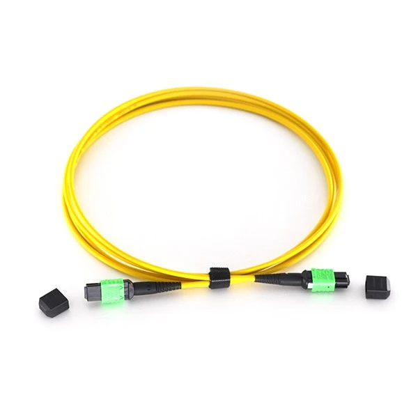 MPO-MPO Yellow 1