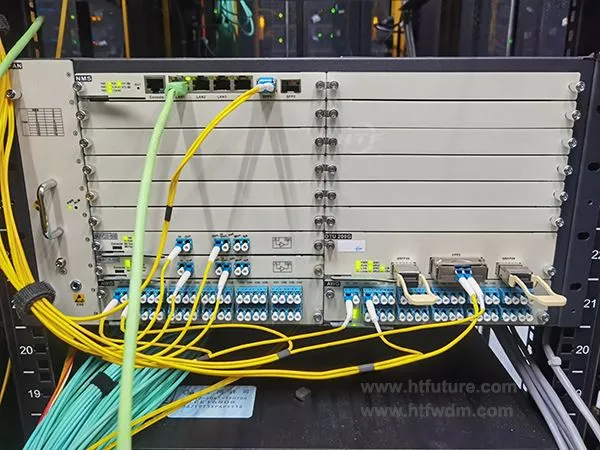 1 x 200G DWDM 전송 솔루션을 설계할 수 있습니까?